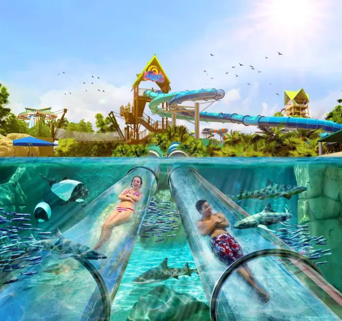 Celebration Suites Florida Seaworld 1