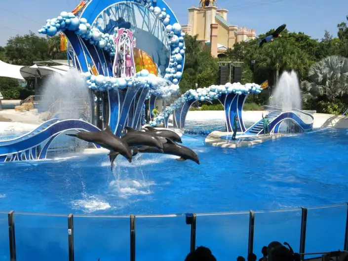 Celebration Suites Florida Seaworld 5